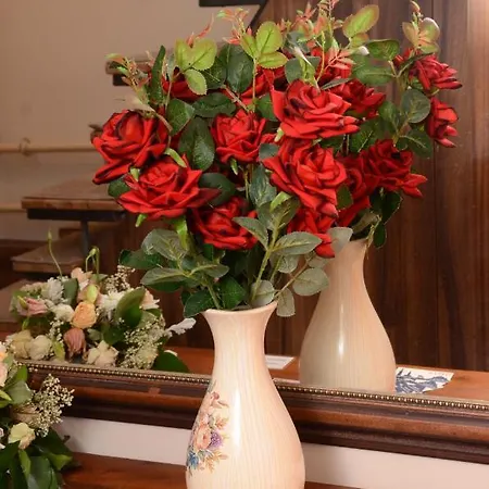 Stella Апартаменты *